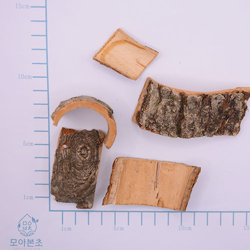 마가목 (정공피)