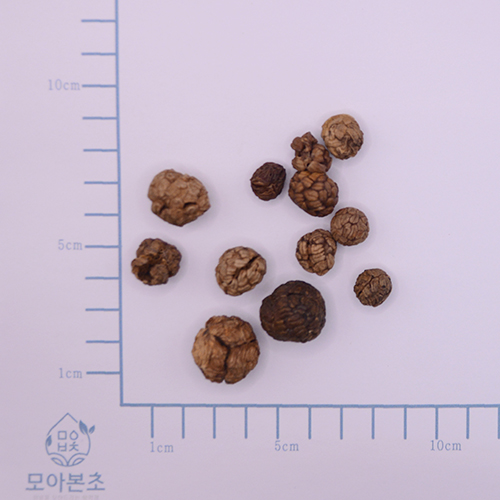 초두구